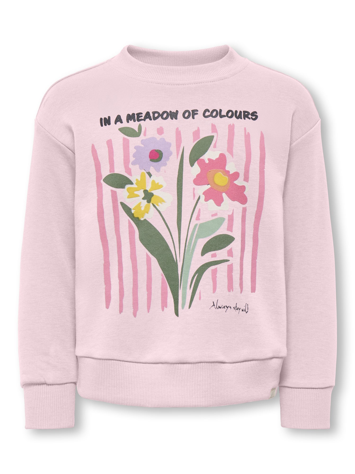 Sweatshirt - Image 3