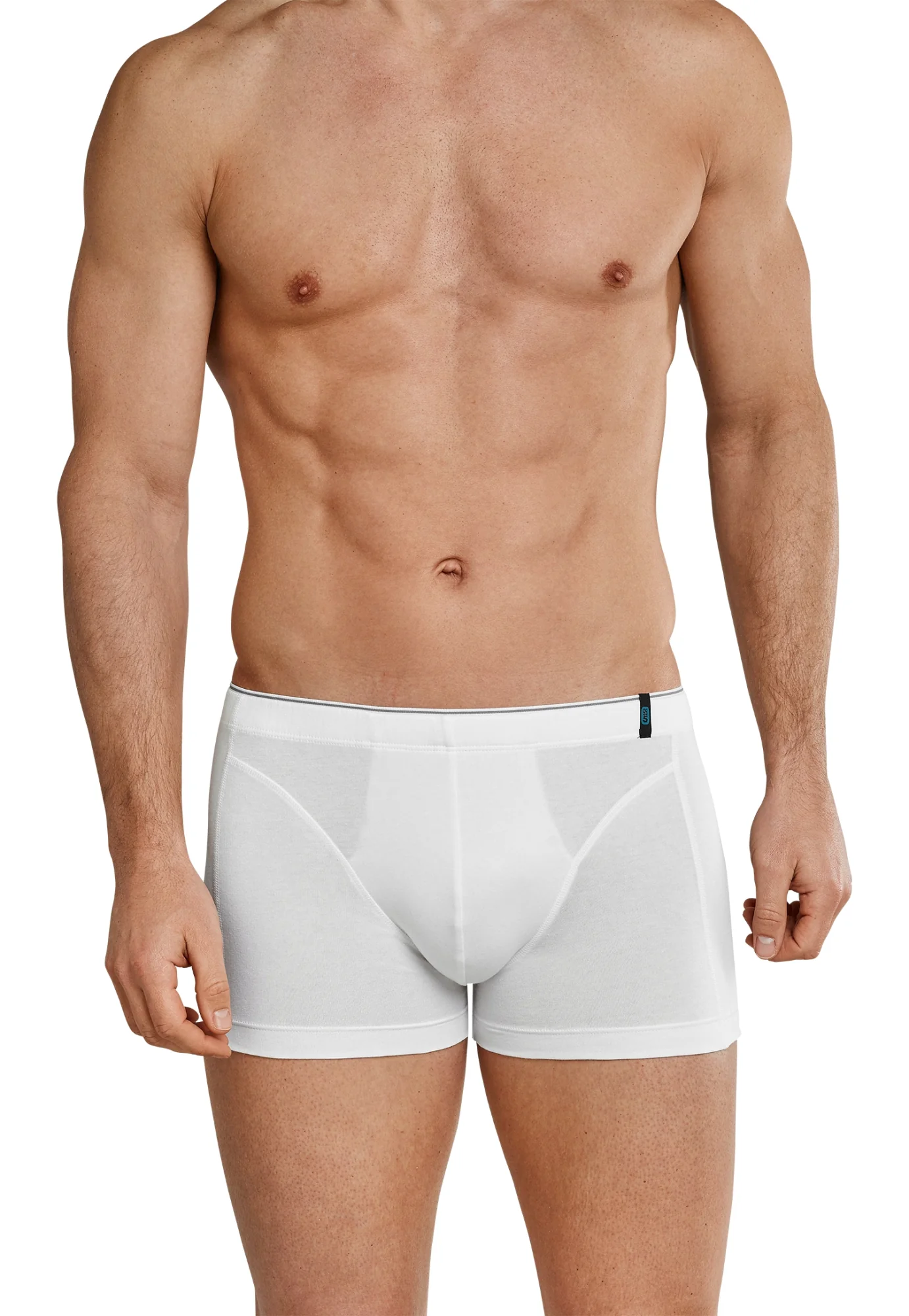 Shorts - Image 2