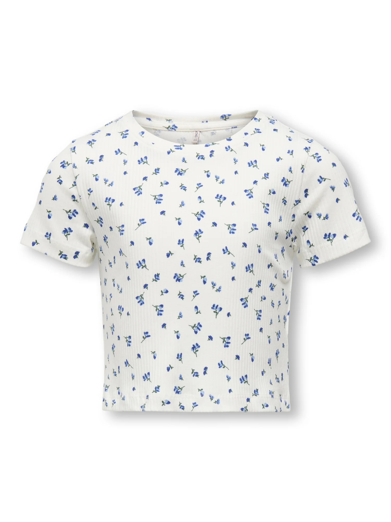 Shirt - Image 2