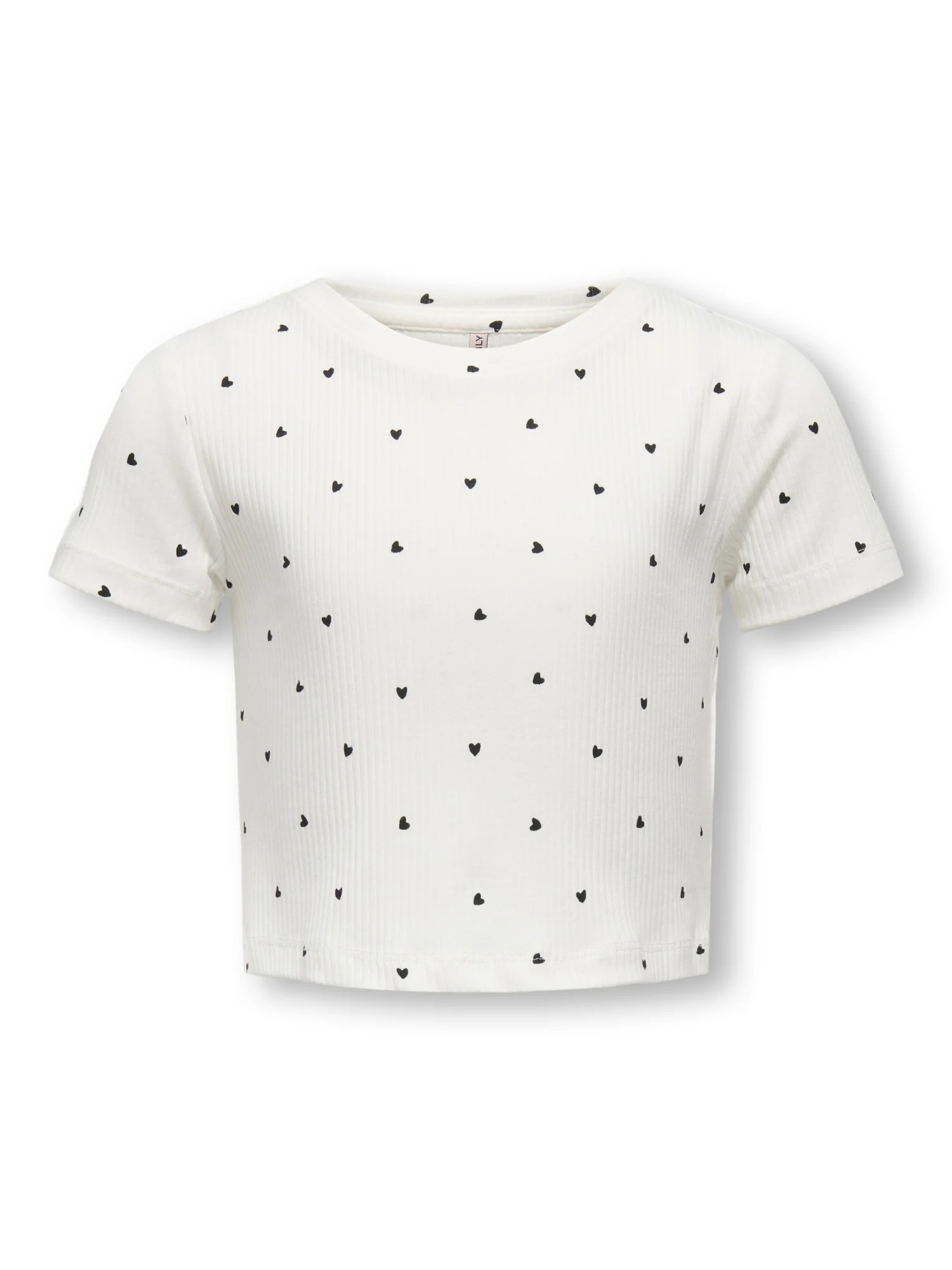 Shirt - Image 3