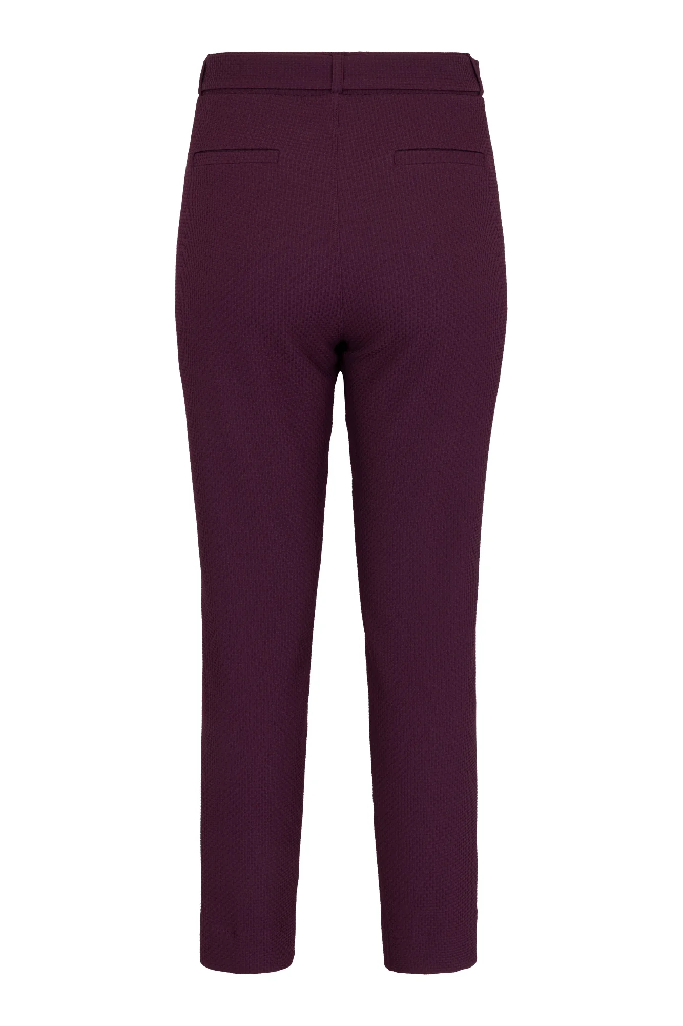 Hose - Image 2