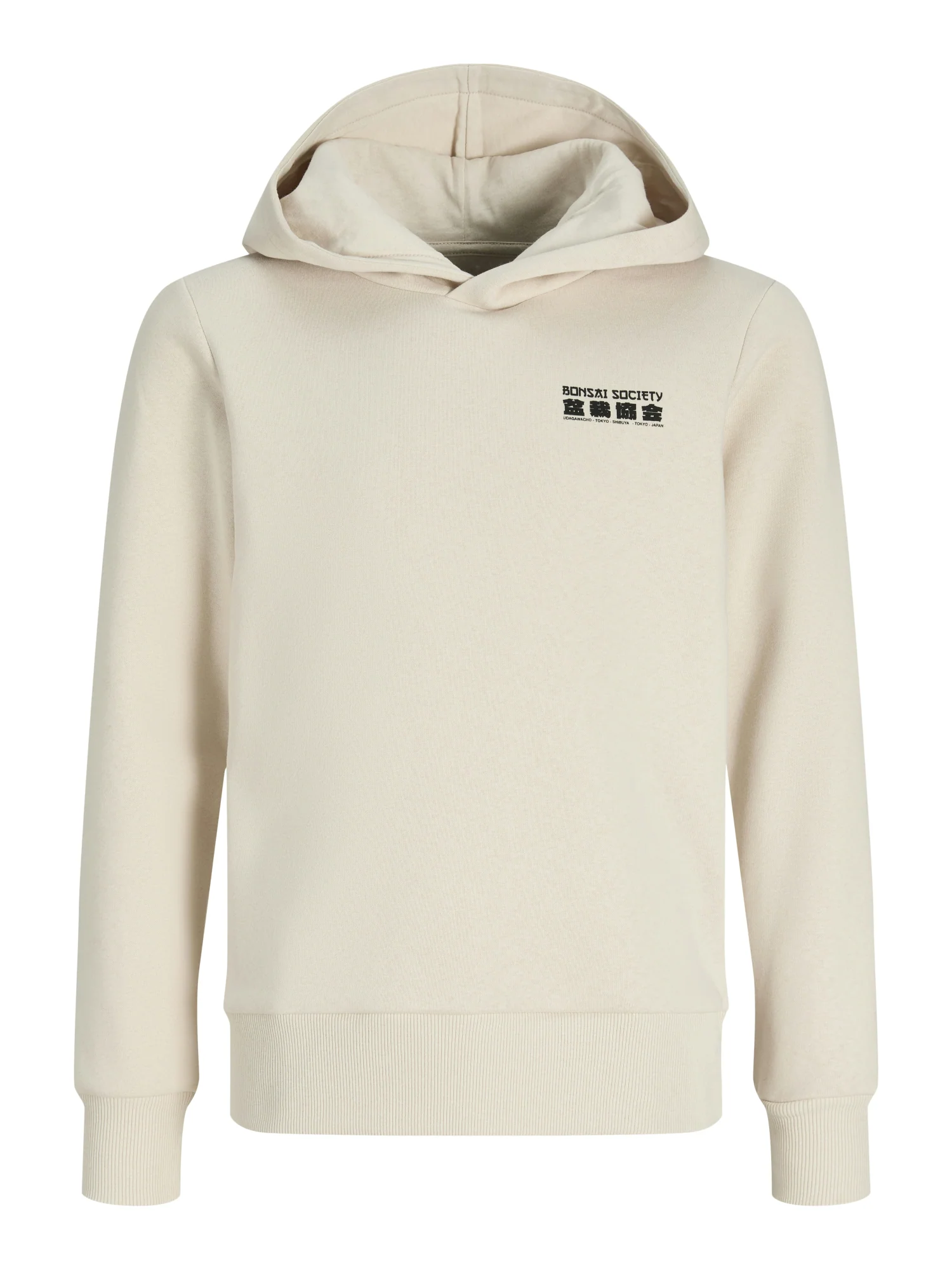 Hoodie mit Rückenprint