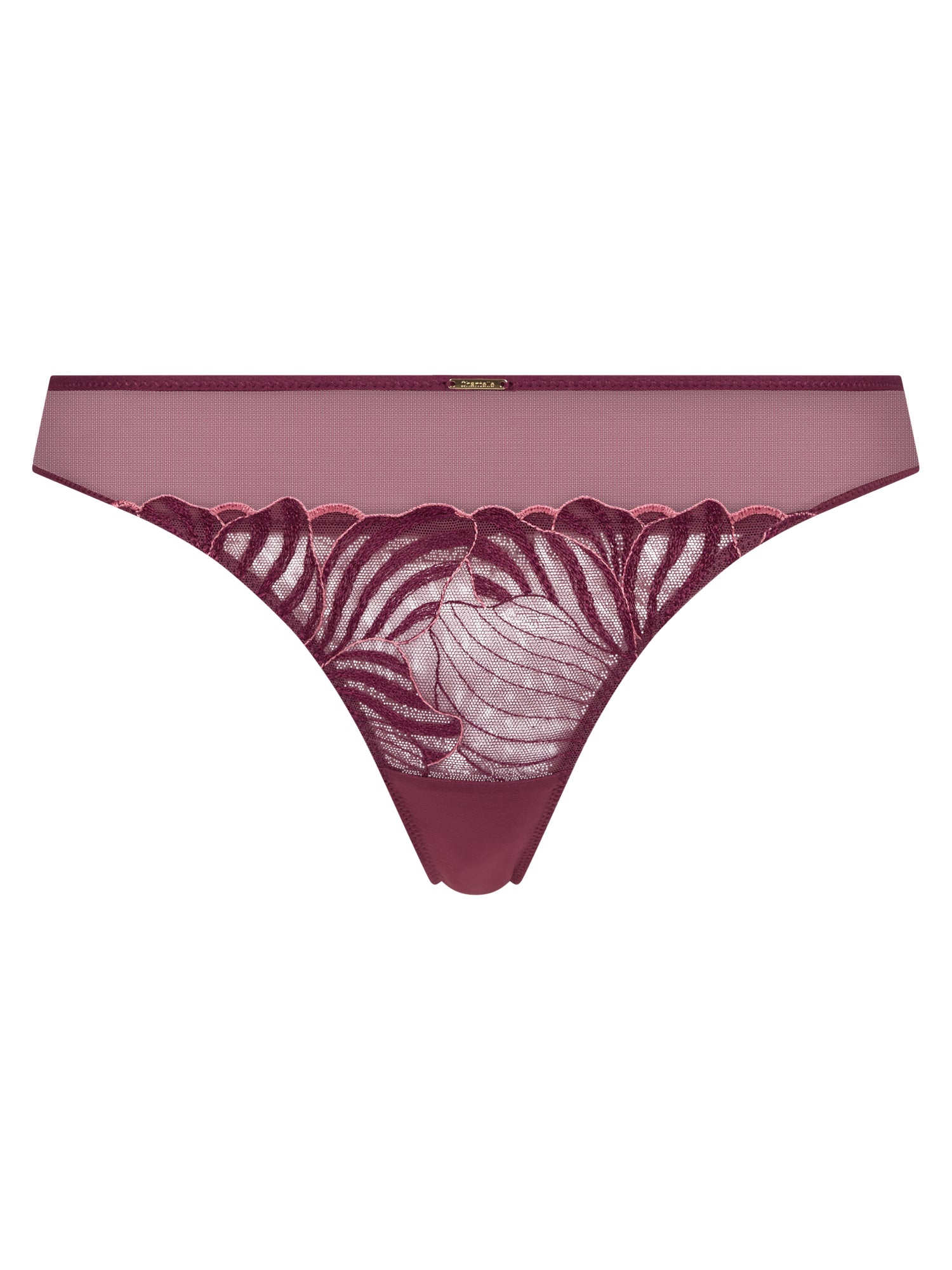 Tanga - Image 3
